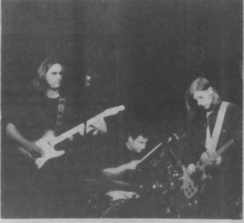The Greeenberry Woods, left to right, Ira Katz, Miles Rosen (on drums) and Matt Huseman. Photo by Paul Moffett